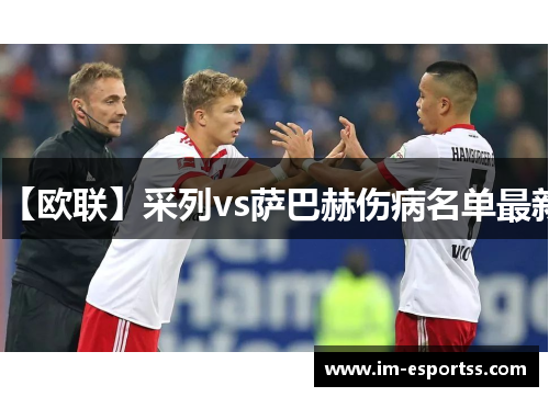 【欧联】采列vs萨巴赫伤病名单最新